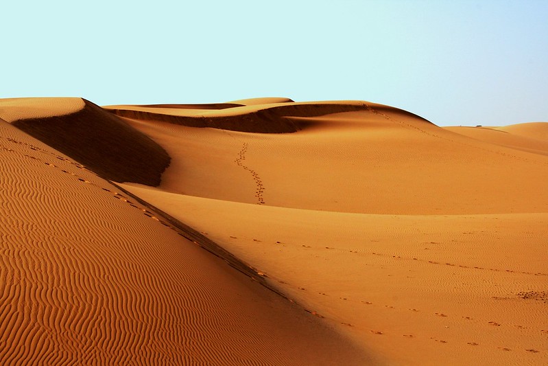 사막 모래 사막화 건조