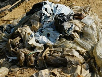 쓰레기 폐기물 환경 오염