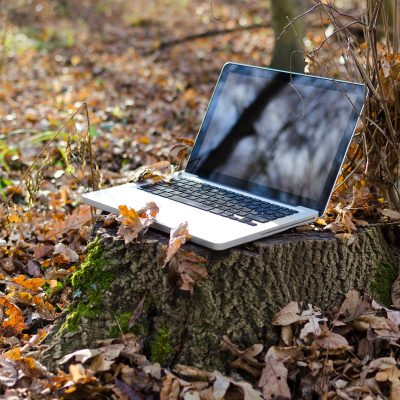 노트북 단풍 낙엽 숲
