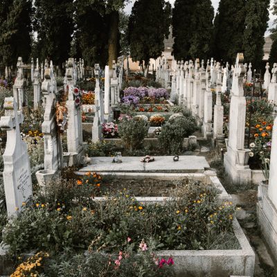 공동묘지 비석 꽃 묘비