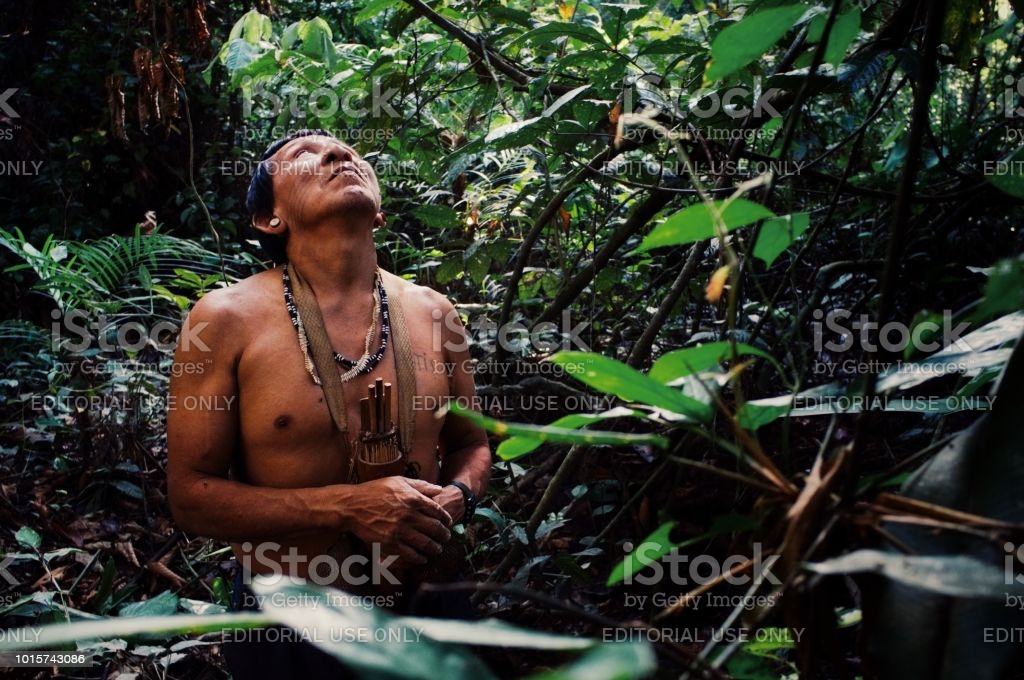 아마존 숲 식물 사냥 원주민 사람