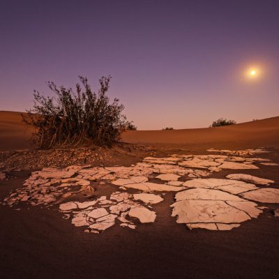 자연 사막 식물 흙 땅 하늘 기후