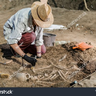 해골 유골 유적 땅 흙 뼈