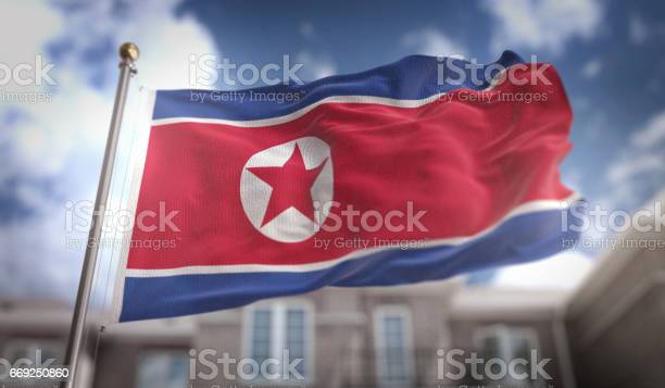 북한, 국기, 최윤식