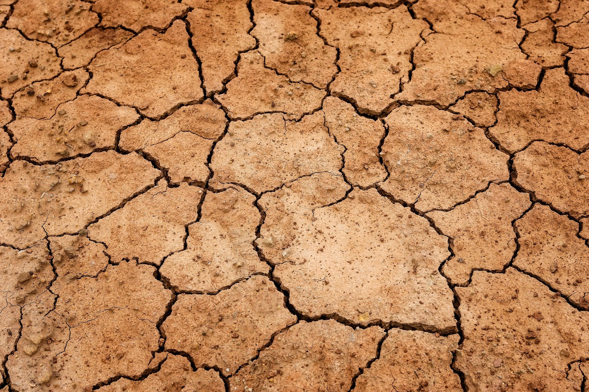 가뭄, 물부족, 기상재해