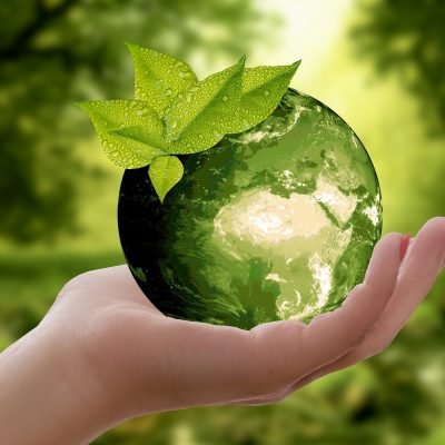환경, 녹색시장, 녹색소비
