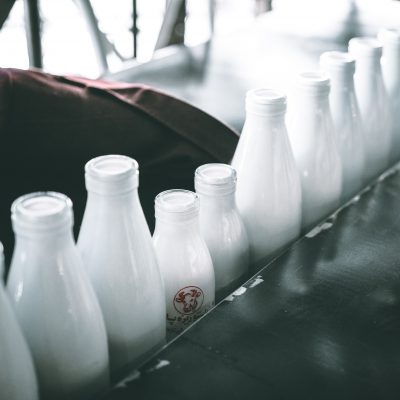 우유, 공장, 유제품