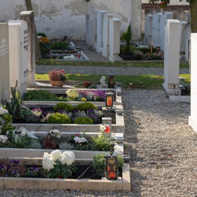 묘지 묘 꽃 무덤