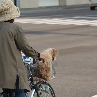 일본 자전거 도로