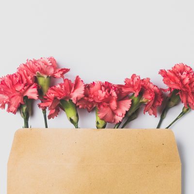 꽃 카네이션 서류 봉투
