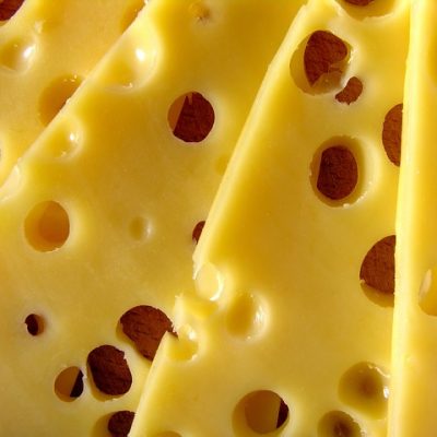 치즈 낙농업 유제품