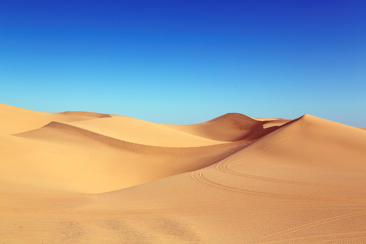 사막 모래