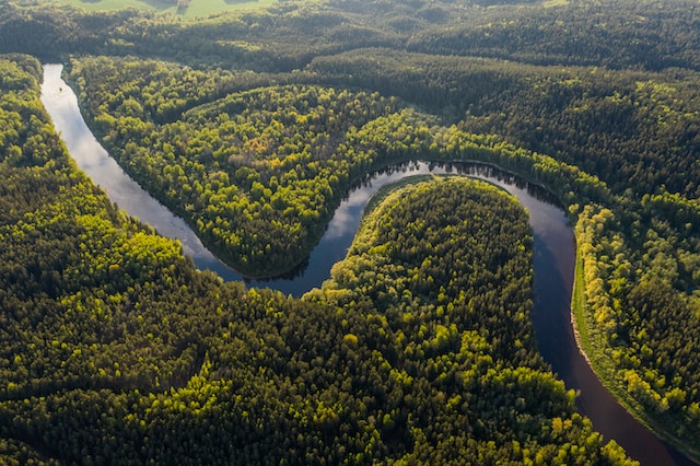 아마존 강